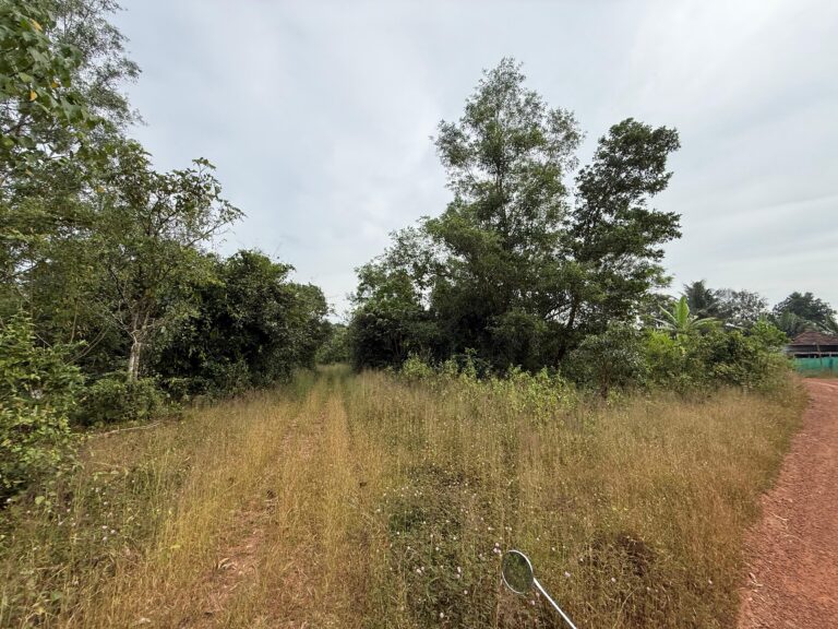 Agricultural Land for Sale – Borakatte, Karkala | Karnataka