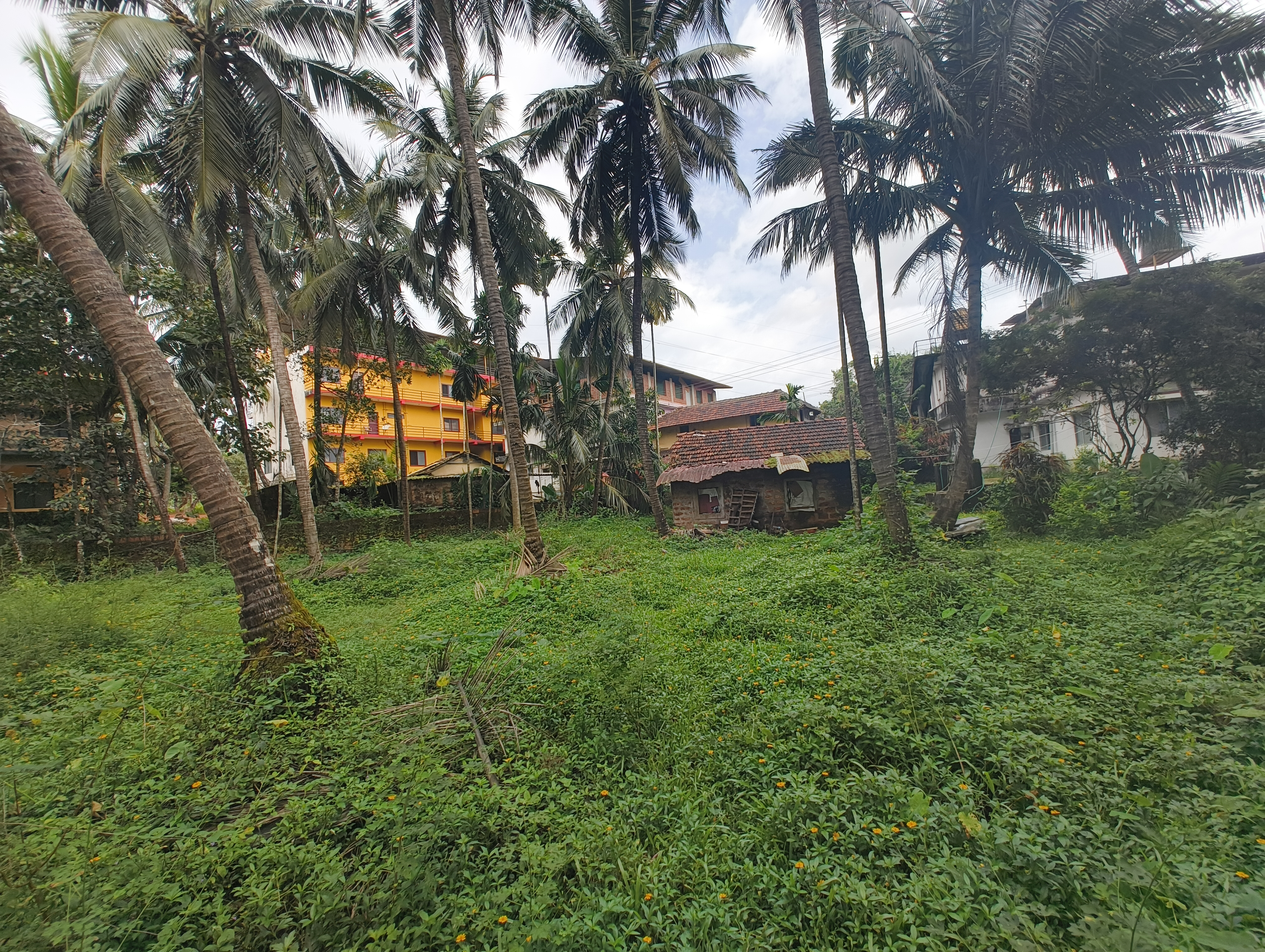 Residential Land for Sale – Nitte, Karkala | Karnataka