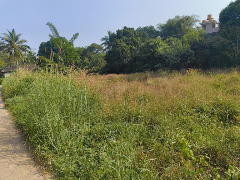 Residential Land for Sale – Varamballi, Brahmavara – Near Mahesh Hospital | Karnataka
